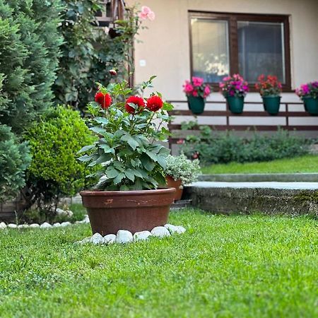 City Centar Apartman SJJ Exterior foto