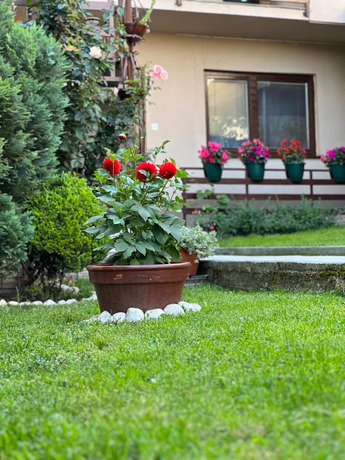 City Centar Apartman SJJ Exterior foto
